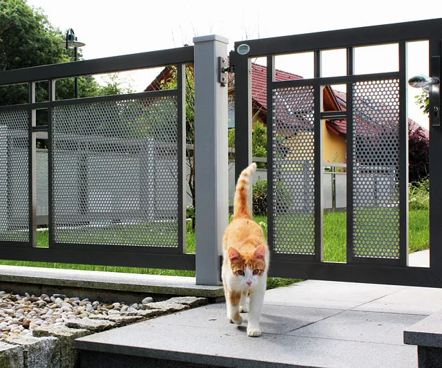 Eine Katze geht durch ein Tor in einem Garten.