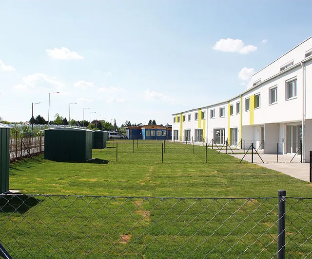 Eine grüne Wiese mit üppigem Gras, die sich sanft unter einem klaren Himmel erstreckt.