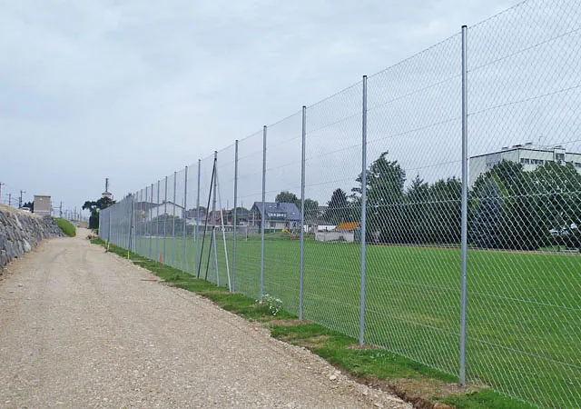 Ein Zaun steht vor einer Straße, umgeben von grünem Gras.