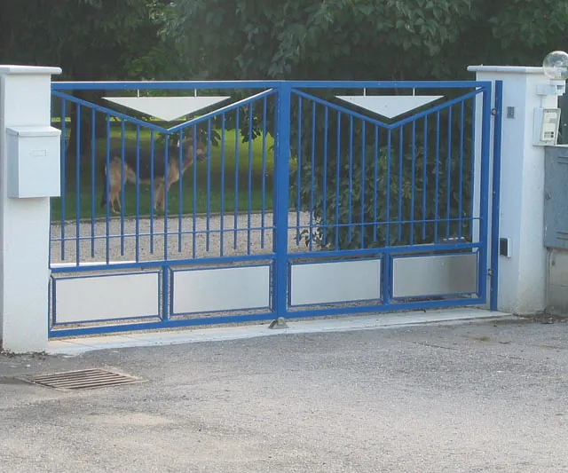 Ein Hund schaut aufmerksam auf das Tor.